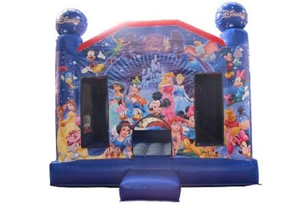 WSC-209 Inflatable Bounce House