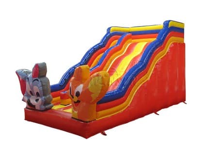 WSS-107 Inflatable Slide