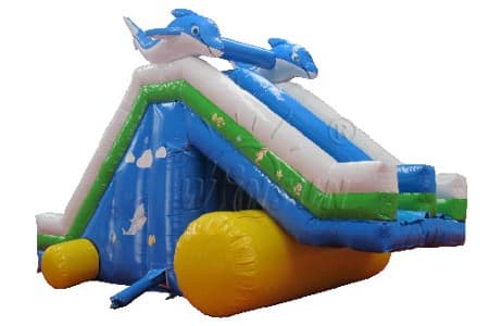 WSS-115 Inflatable Water Slide