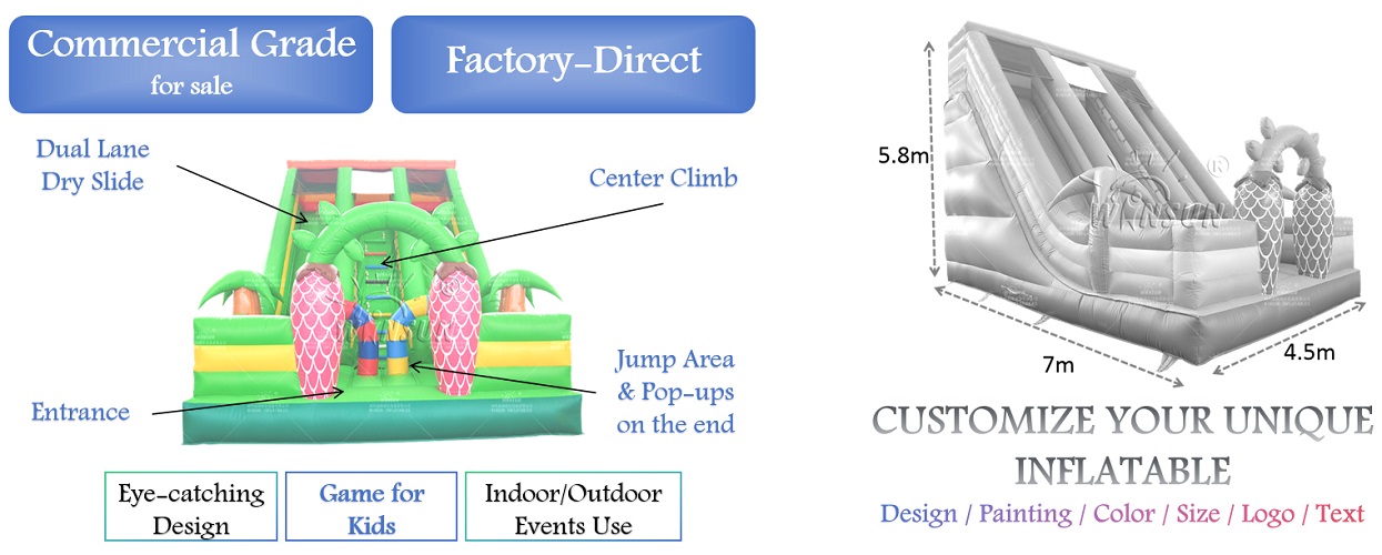 Custom Commercial Inflatable Dry Slide for kids