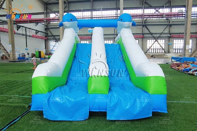 Inflatable dolphin water slide