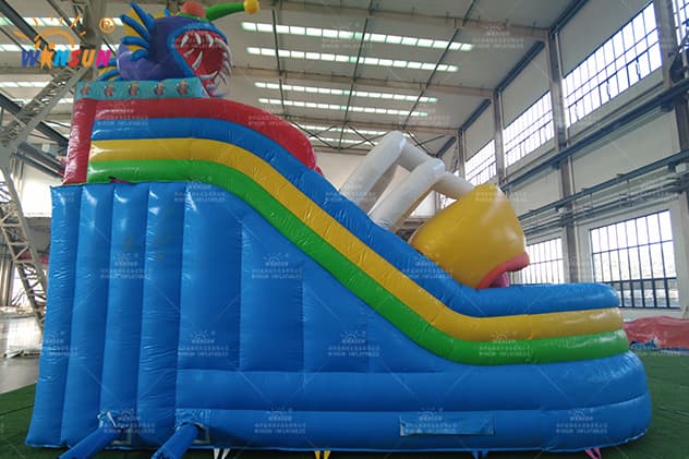 most popular Pool Water Slides