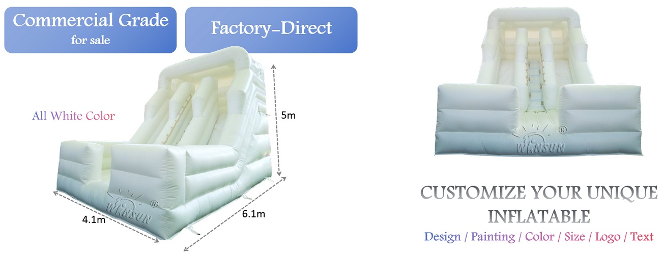 Inflatable 20' Dual Lane Dry Slide