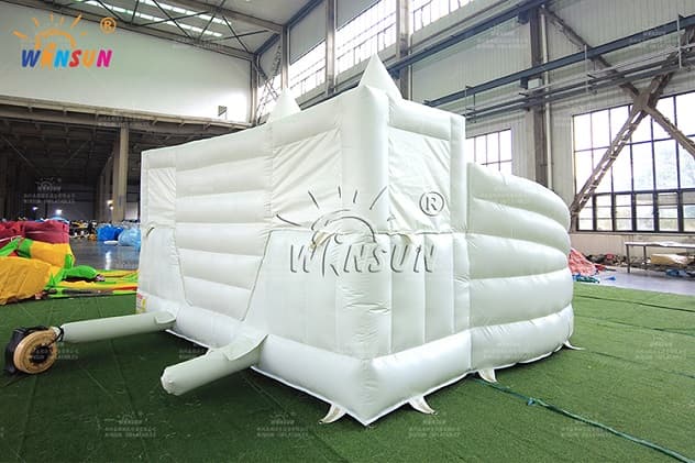 Inflatable 20' Dual Lane Slide with pool