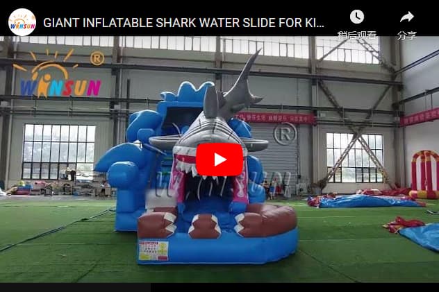 Giant Inflatable Water slide With Pool